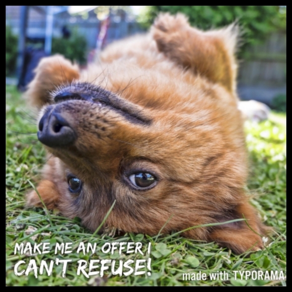 Jordan 6 Rings Basketball Shoes Size 6Y (Big Boys) White Black University Red ● - Picture 11 of 11